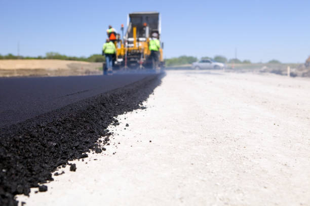 Best Local Driveway Pavers  in Pasadena, TX