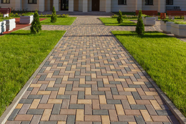 Best Decorative Driveway Pavers  in Pasadena, TX